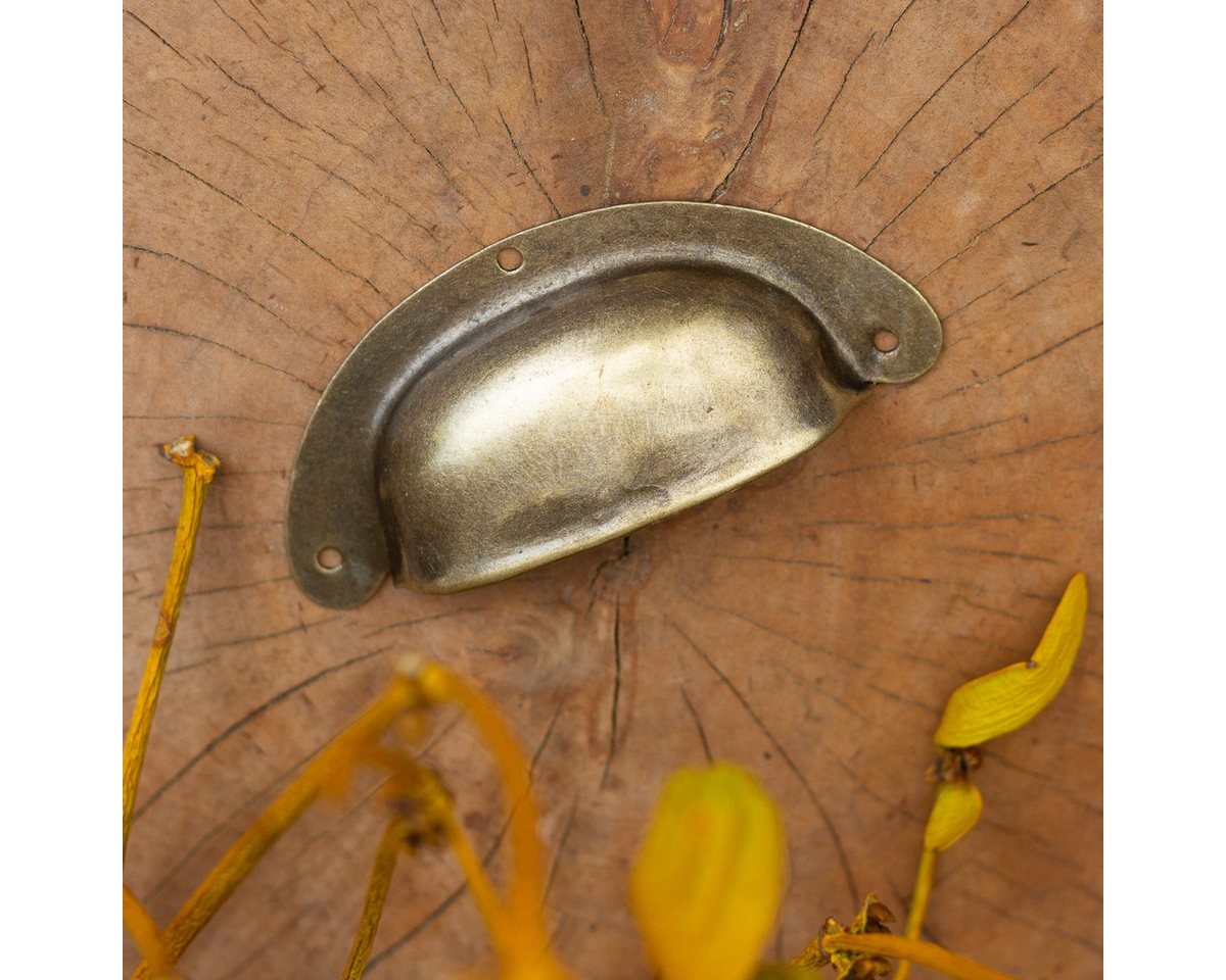 Antikas Möbelbeschlag Apothekergriff Griffmuscheln Muschelgriffe Schalengriffe Griffschale Bild 4