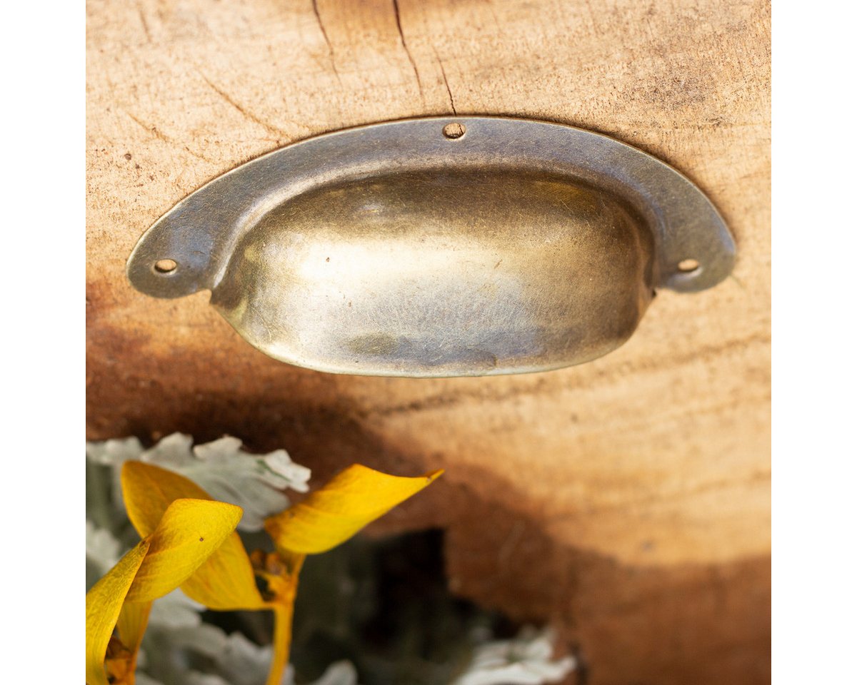 Antikas Möbelbeschlag Apothekergriff Griffmuscheln Muschelgriffe Schalengriffe Griffschale Bild 5