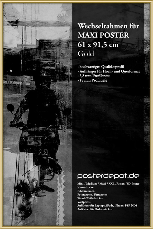 Wallario Rahmen Wechselrahmen Alu, passend für Maxi-Poster (61 x 91,5 cm), Goldfarben