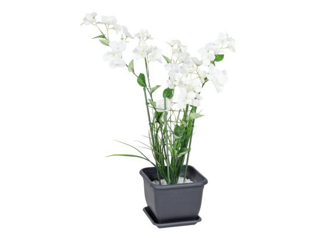 Greemotion Staude Verstellbare Staudenhalter, 3 St., ø14-18 cm, 3 Ringe, für Garten & Topfpflanzen