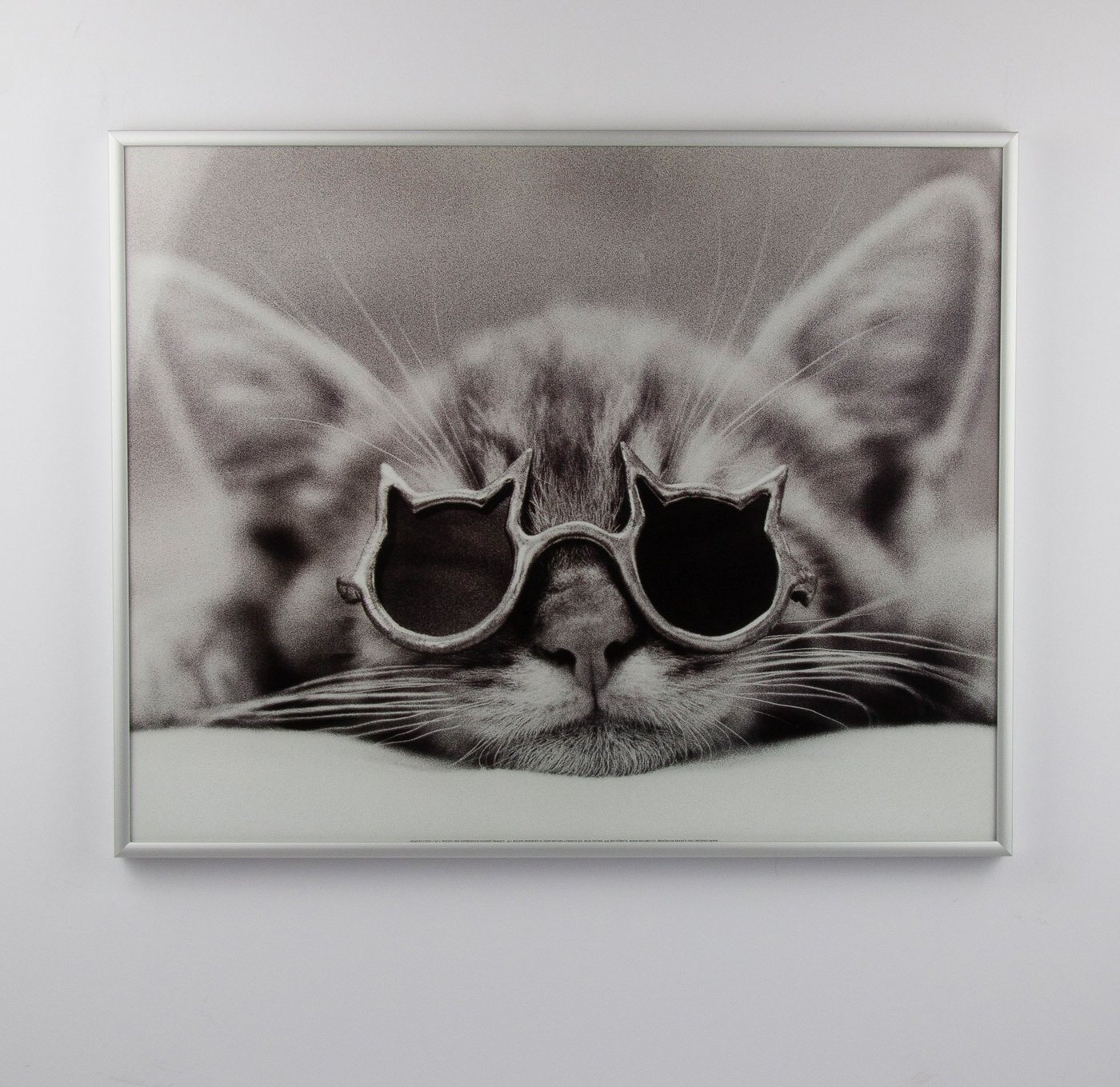 myposterframe Einzelrahmen Alu Bilderrahmen Amalthea, (1 Stück), 70x100 cm, Silber matt, Aluminium Bild 5