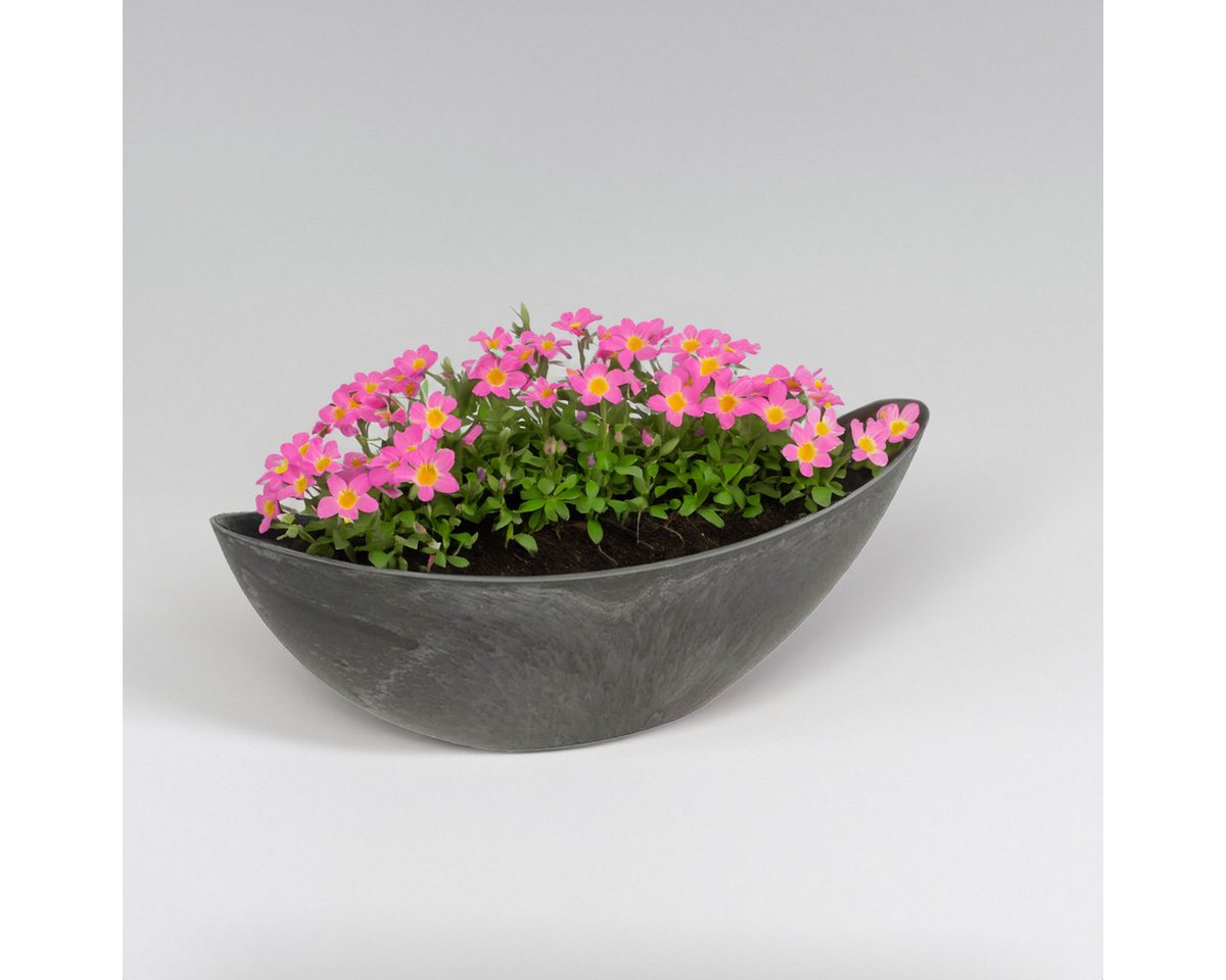 matches21 HOME & HOBBY Blumentopf Große Pflanzschale oval 55 cm für draussen Dekoschale schwarz (1 St), Blumen-Schale als wetterfeste Friedhof-Schale Grab-Schmuck Grabschale Bild 4