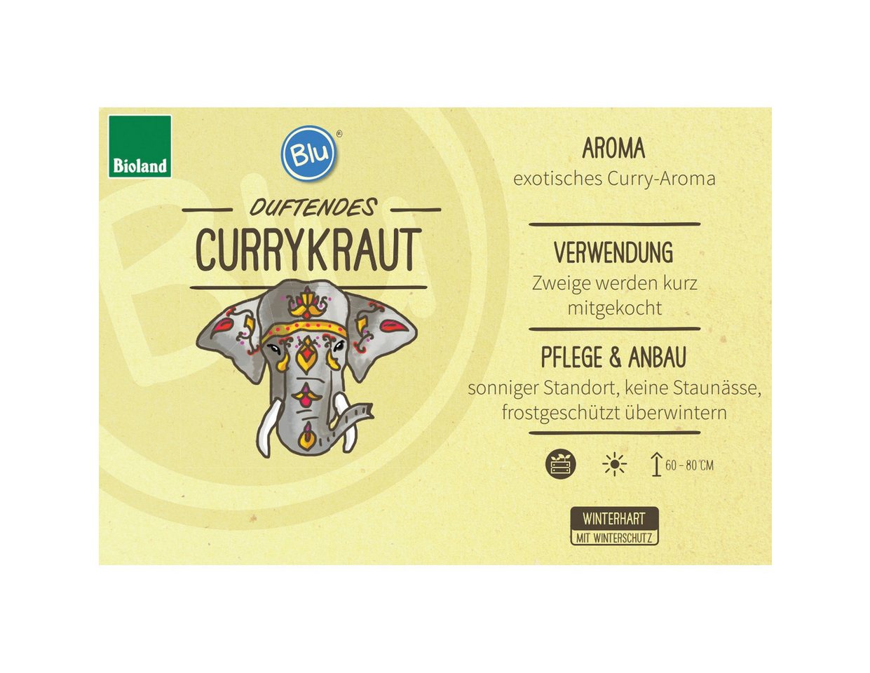 Exotenherz Gewürzkraut Currykraut Helichrysum angustifolia Kräuterpflanze im 12cm Topf Bild 3