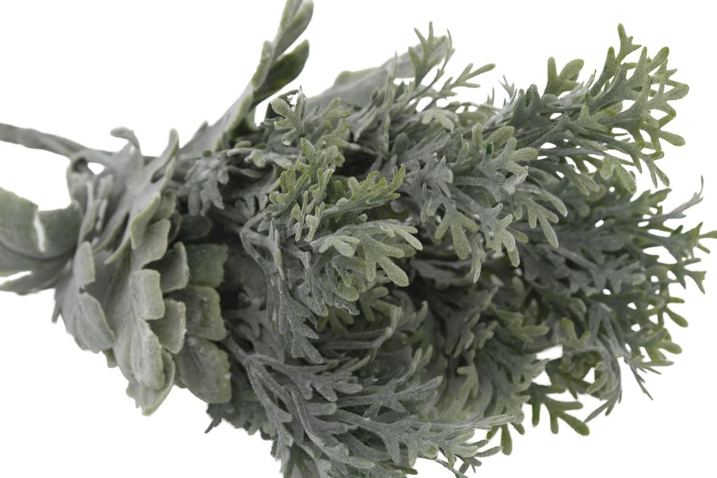 Kunstpflanze 2er Set künstliches Silberblatt 35 cm Kunstpflanze Greiskraut, mucPlants