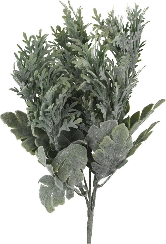 Kunstpflanze 2er Set künstliches Silberblatt 35 cm Kunstpflanze Greiskraut, mucPlants Bild 2