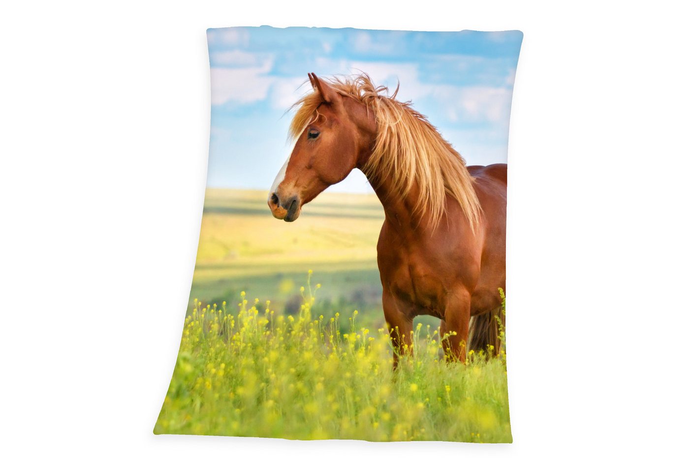 Brilliant Badetuch / Pferde / 75x150cm / 100% Baumwolle, 100% Baumwolle