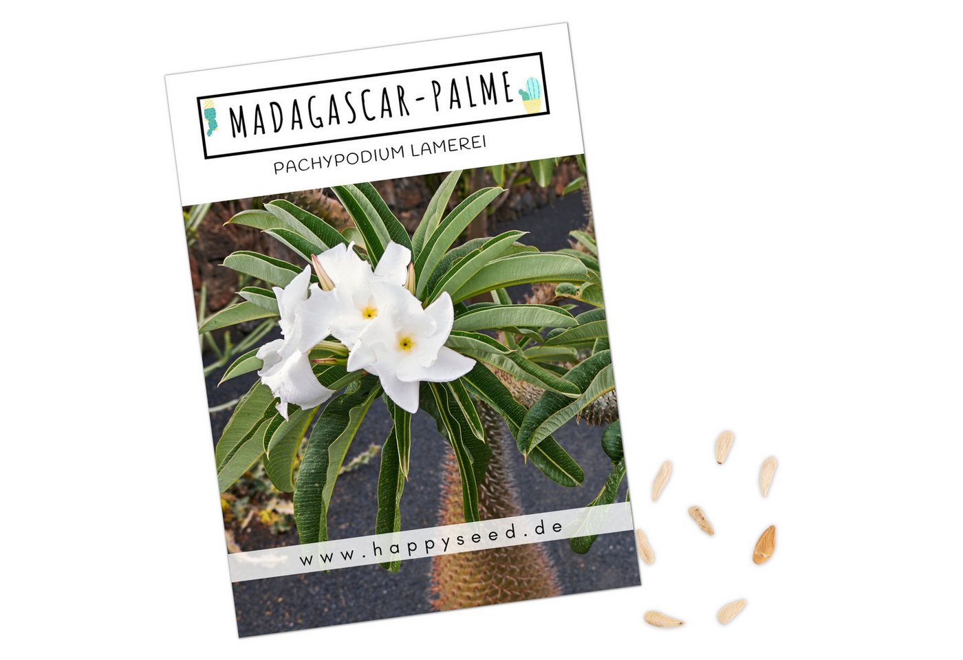 HappySeed Blumensamen Exotische Kakteen Samen mit hoher Keimrate - Madagascar-Palme, Kakteen
