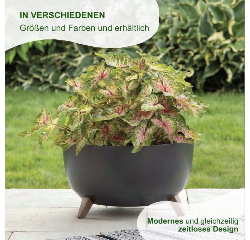 Heimwerkercenter Pflanzschale MePla - Schale Roma - wetterfestes Pflanzgefäßø24cm - creme Bild 3