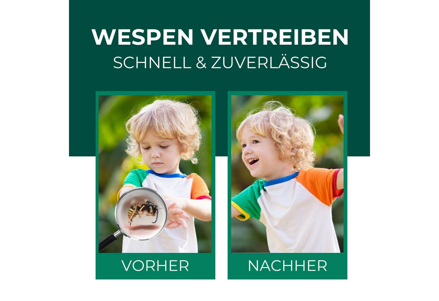 Silberkraft Wespenspray Silberkraft Wespenspray, Spray zur Wespenabwehr, Anti-Wespen-Mittel, 500 ml, 1-St., hilft gegen Wespennester, Repellent mit Sofort- und Langzeitwirkung Bild 2