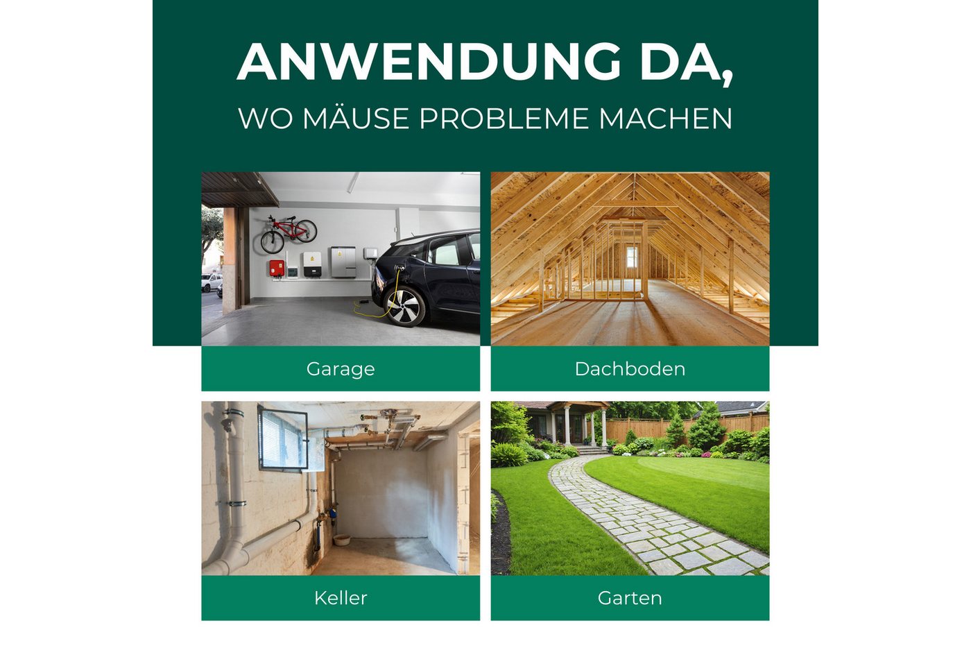 Silberkraft Vergrämungsmittel Silberkraft Mäuseabwehr, Repellent gegen Mäusebefall, 500 ml, 1-St., Mäuseabwehr für Haus & Garten, wirksame Alternative zu Gift & Fallen