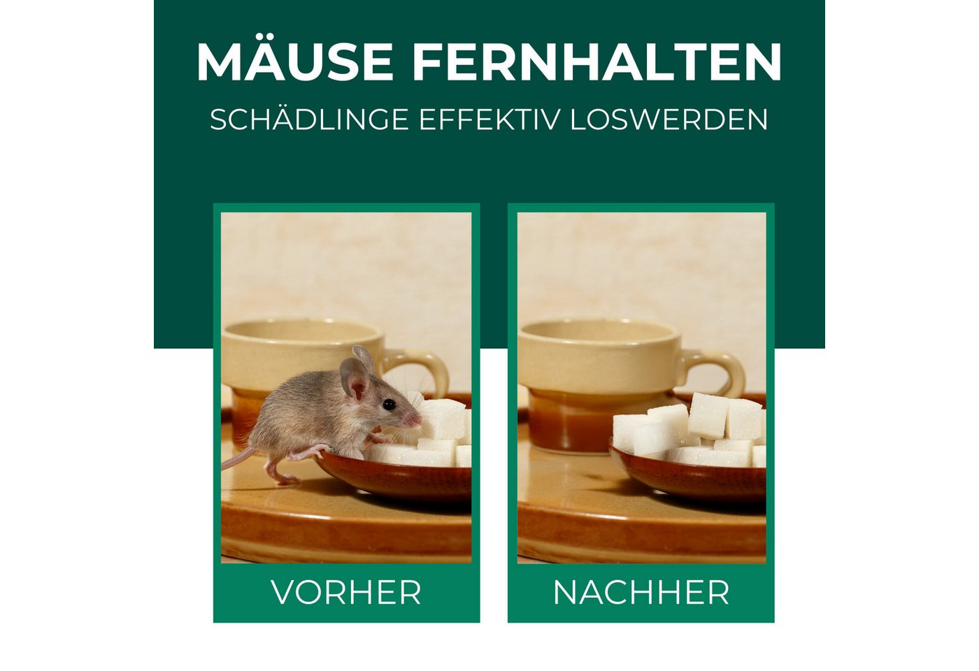 Silberkraft Vergrämungsmittel Silberkraft Mäuseabwehr, Repellent gegen Mäusebefall, 500 ml, 1-St., Mäuseabwehr für Haus & Garten, wirksame Alternative zu Gift & Fallen Bild 5