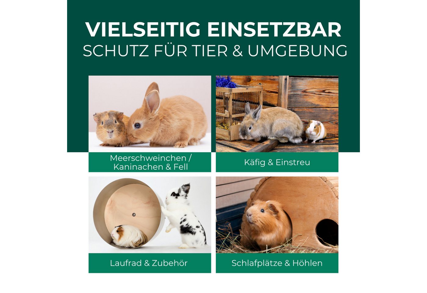 Silberkraft Insektenspray Milbenspray, Milbenmittel für Meerschweinchen, Hamster & Nager, 500 ml, Gegen diverse Milbenarten, Leistungsstarker Langzeitschutz, 1-St., Anti Milben Spray, ideal für Meerschweinchen und Kaninchen, hochwirksame Milbenabwehr für Fell & Käfig, Sofort- & Langzeitschutz Bild 4