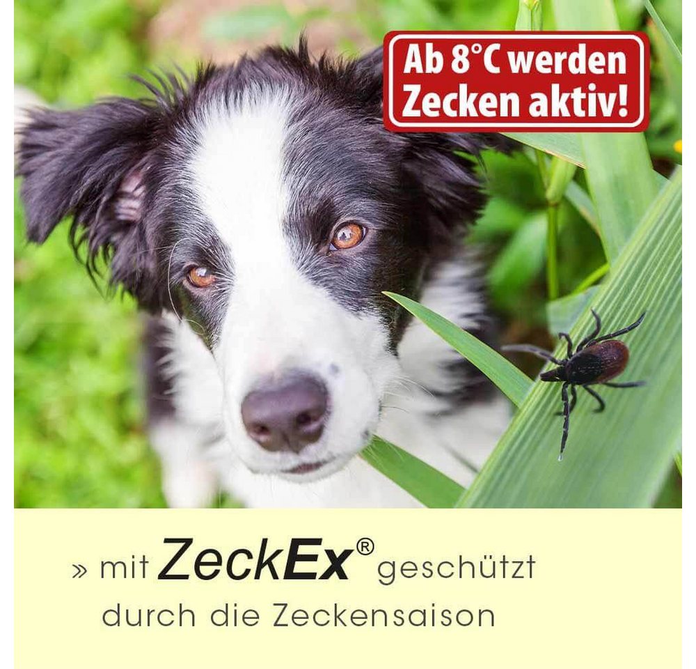 cdVet Zeckenschutzmittel ZeckEx, 20 ml, Sofortschutz bis zu 5 Stunden vor Zecken Bild 2