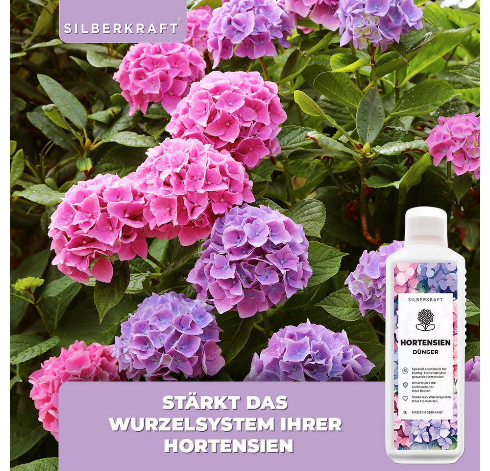 Silberkraft Pflanzenstärkungsmittel Hortensien Dünger - Mineralischer NPK Flüssigdünger mit Stickstoff, Fördert Blütenpracht & Wurzelstärke, Für alle Hortensienarten wie Hydrangea macrophylla, Spezialdünger für kräftige Blütenfarben & gesundes Wachstum