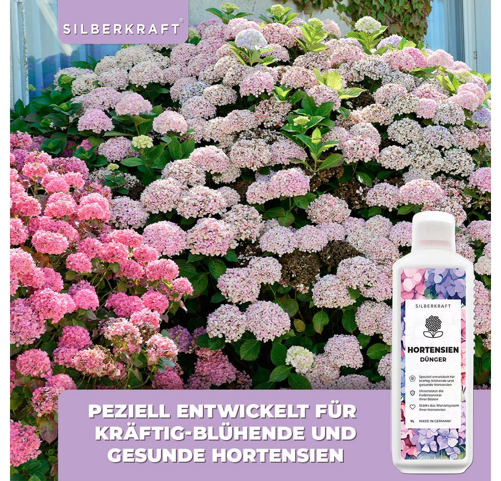 Silberkraft Pflanzenstärkungsmittel Hortensien Dünger - Mineralischer NPK Flüssigdünger mit Stickstoff, Fördert Blütenpracht & Wurzelstärke, Für alle Hortensienarten wie Hydrangea macrophylla, Spezialdünger für kräftige Blütenfarben & gesundes Wachstum Bild 5