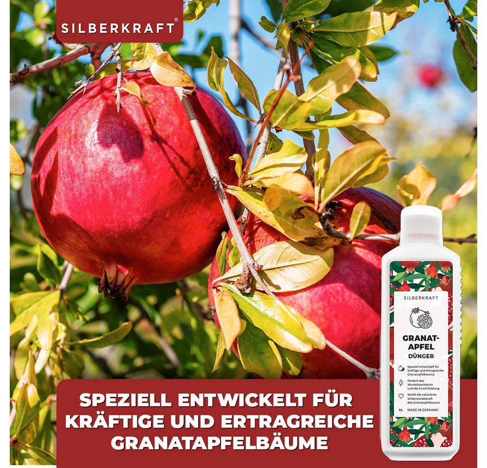 Silberkraft Pflanzenstärkungsmittel Granatapfel Dünger - Mineralischer NPK Flüssigdünger mit Stickstoff, Spezialformel für Granatapfelbäume & Ziergranatäpfel, Fördert Wurzelwachstum, Blattgrün & Fruchtbildung, Spezialdünger für Granatapfelbäume & Ziergranatäpfel Bild 3