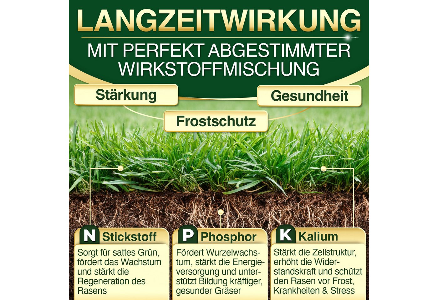 DÜNGEMEISTER Rasendünger Herbstdünger Herbst, 30 kg, Widerstandsfähigkeit gegen Frost & Krankheiten - KaliumschutzPlus Bild 4