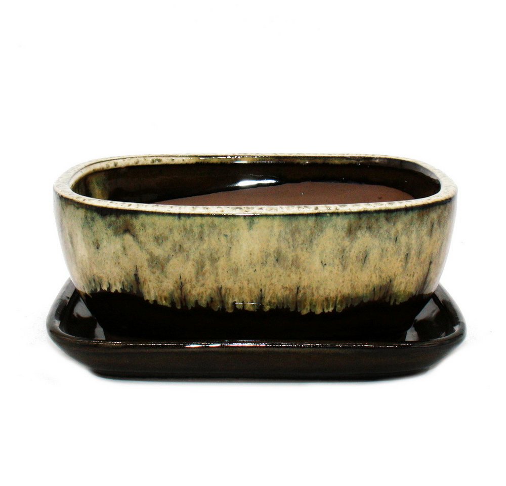 Exotenherz Pflanzschale Bonsai-Schale Unterteller Gr. 3 Braun-Beige rechteckig GB5 L 21,5cm (1 St)