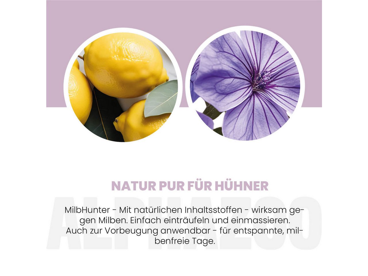 ALPHAZOO Milbenspray MilbHunter Milbenspray für Hühner 250 ml, 250 ml, 1-St., Milbenschutz, im Hühnerstall als einfache Sprühanwendung Bild 2
