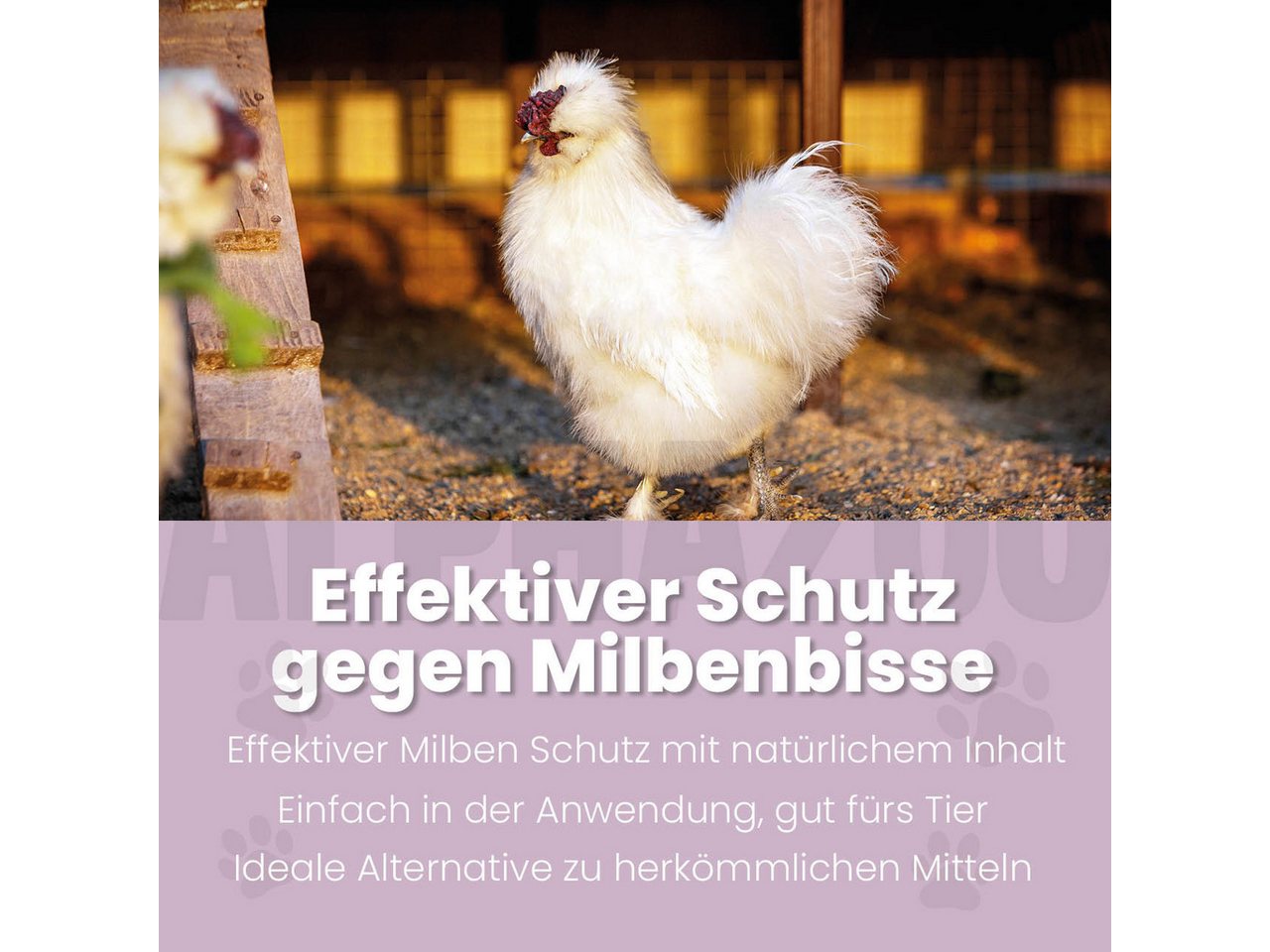 ALPHAZOO Milbenspray MilbHunter Milbenspray für Hühner 250 ml, 250 ml, 1-St., Milbenschutz, im Hühnerstall als einfache Sprühanwendung Bild 5