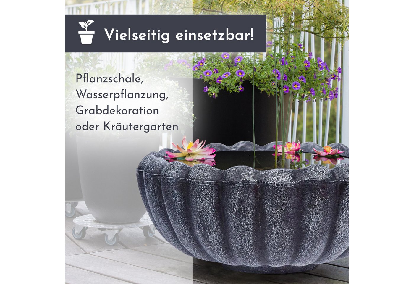 Lemodo Pflanzschale Pflanzschale MARGARITE, grau