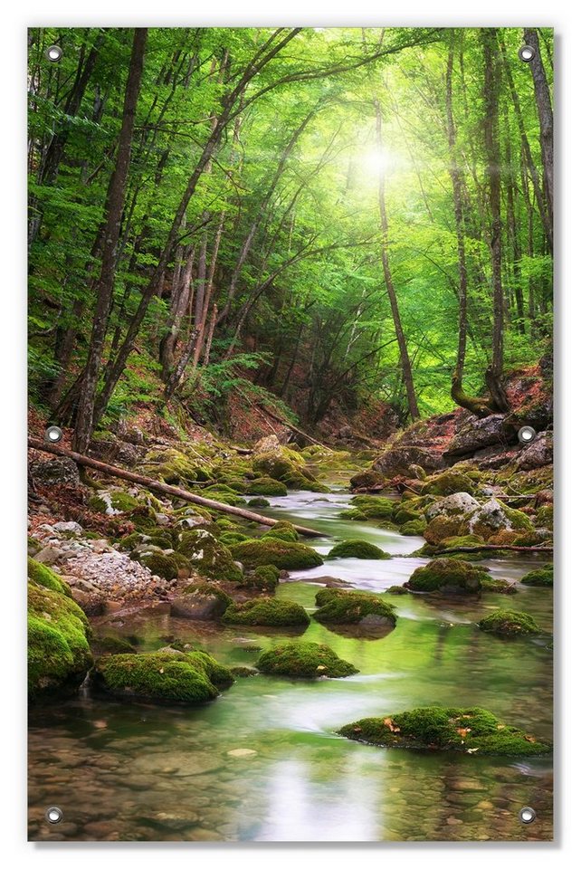 Wallario Sonnenschutz Fluss im Wald, blickdicht, mit Saugnäpfen, wiederablösbar und wiederverwendbar