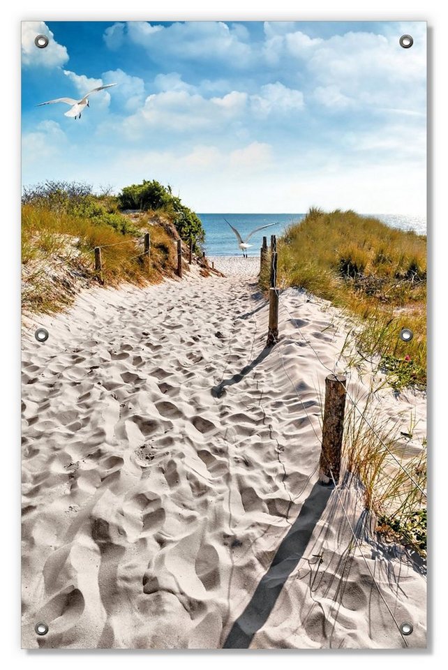 Wallario Sonnenschutz Möwen auf dem Weg zum Strand, blickdicht, mit Saugnäpfen, wiederablösbar und wiederverwendbar Bild 4
