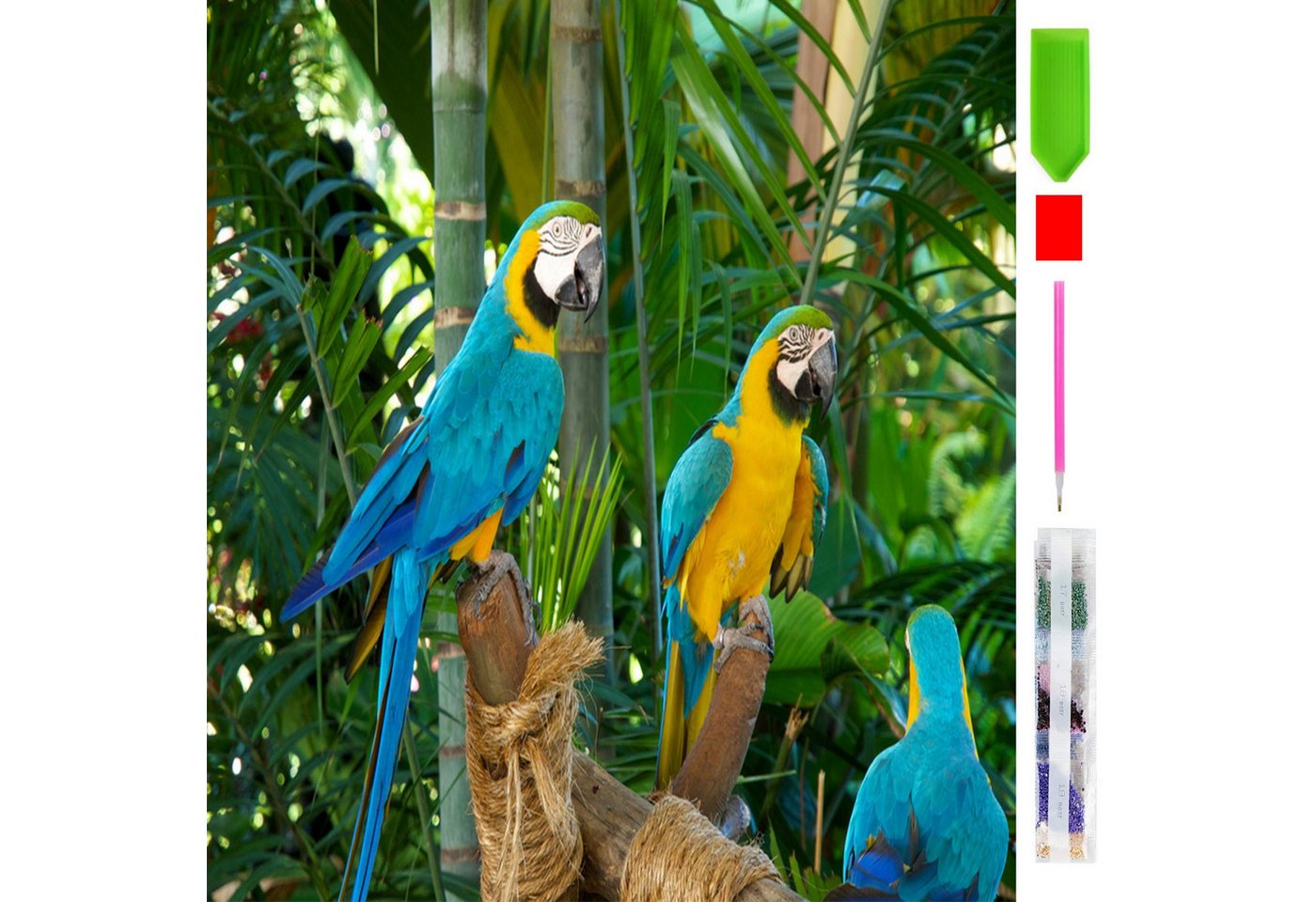 Realb2b Malen nach Zahlen 5d Diamond Painting Papageien Malen nach Zahlen 30x40cm (Komplettset für 5D Diamond Painting inklusive Leinwand, Diamanten und Werkzeugen, Diamond Painting Set mit Zubehör für DIY-Kreativität und Entspannung), 30x40cm 5D Diamond Painting mit präziser Klebeschicht & Zubehör