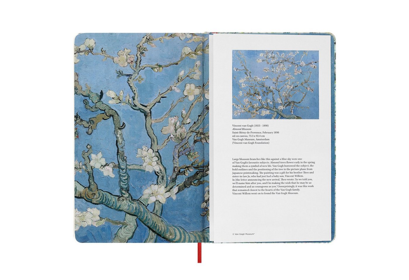MOLESKINE Skizzenbuch "van Gogh"-Edition / Large / A5