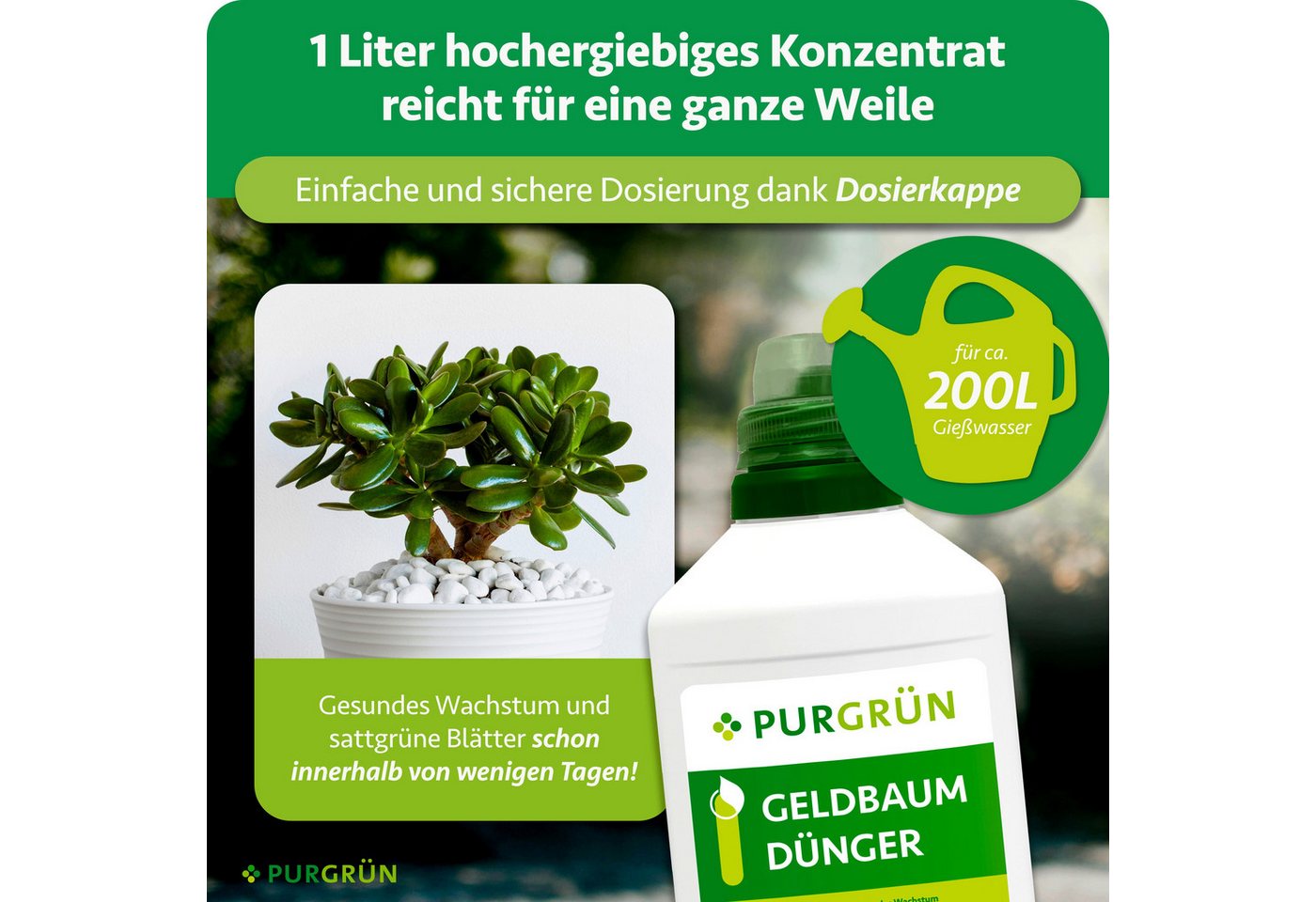 Purgrün Universaldünger Geldbaum Dünger, NPK 3+5+7, Kalium gegen Trockenstress, 1L, Flüssigdünger, 1-St., 1 Liter