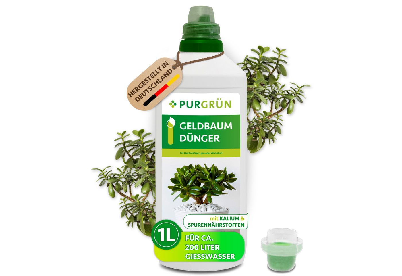 Purgrün Universaldünger Geldbaum Dünger, NPK 3+5+7, Kalium gegen Trockenstress, 1L, Flüssigdünger, 1-St., 1 Liter Bild 2