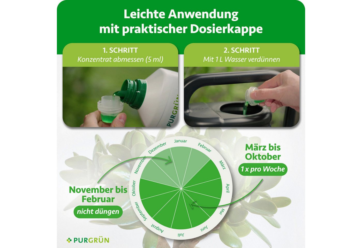 Purgrün Universaldünger Geldbaum Dünger, NPK 3+5+7, Kalium gegen Trockenstress, 1L, Flüssigdünger, 1-St., 1 Liter Bild 4