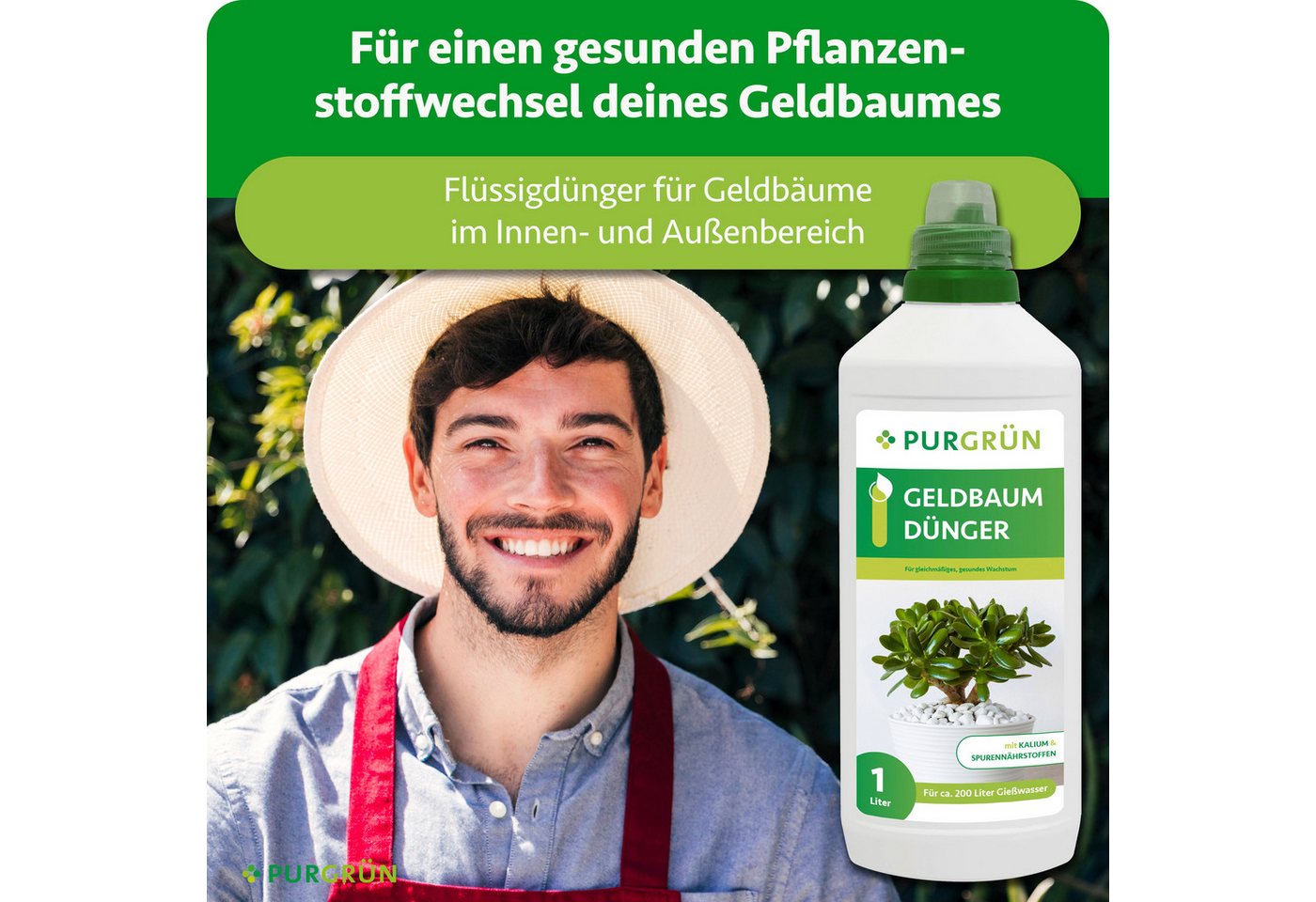 Purgrün Universaldünger Geldbaum Dünger, NPK 3+5+7, Kalium gegen Trockenstress, 1L, Flüssigdünger, 1-St., 1 Liter Bild 5