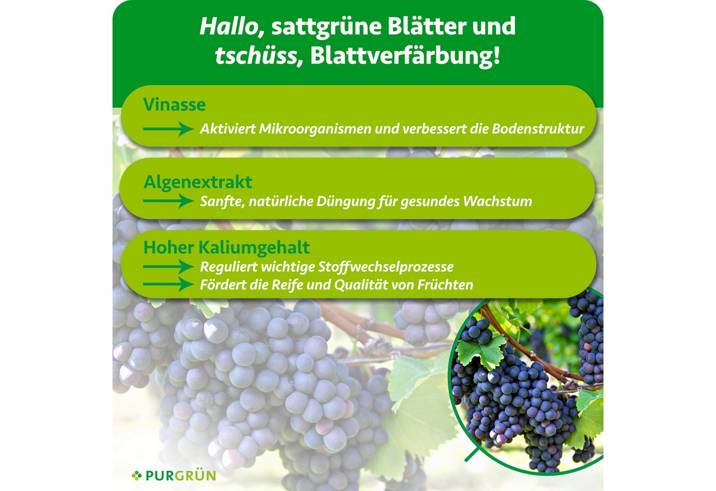 Purgrün Obstdünger Bio Weintrauben Dünger, NPK 4+1+7, Algenextrakt, 1 Liter, Flüssigdünger, 1-St., 1 Liter