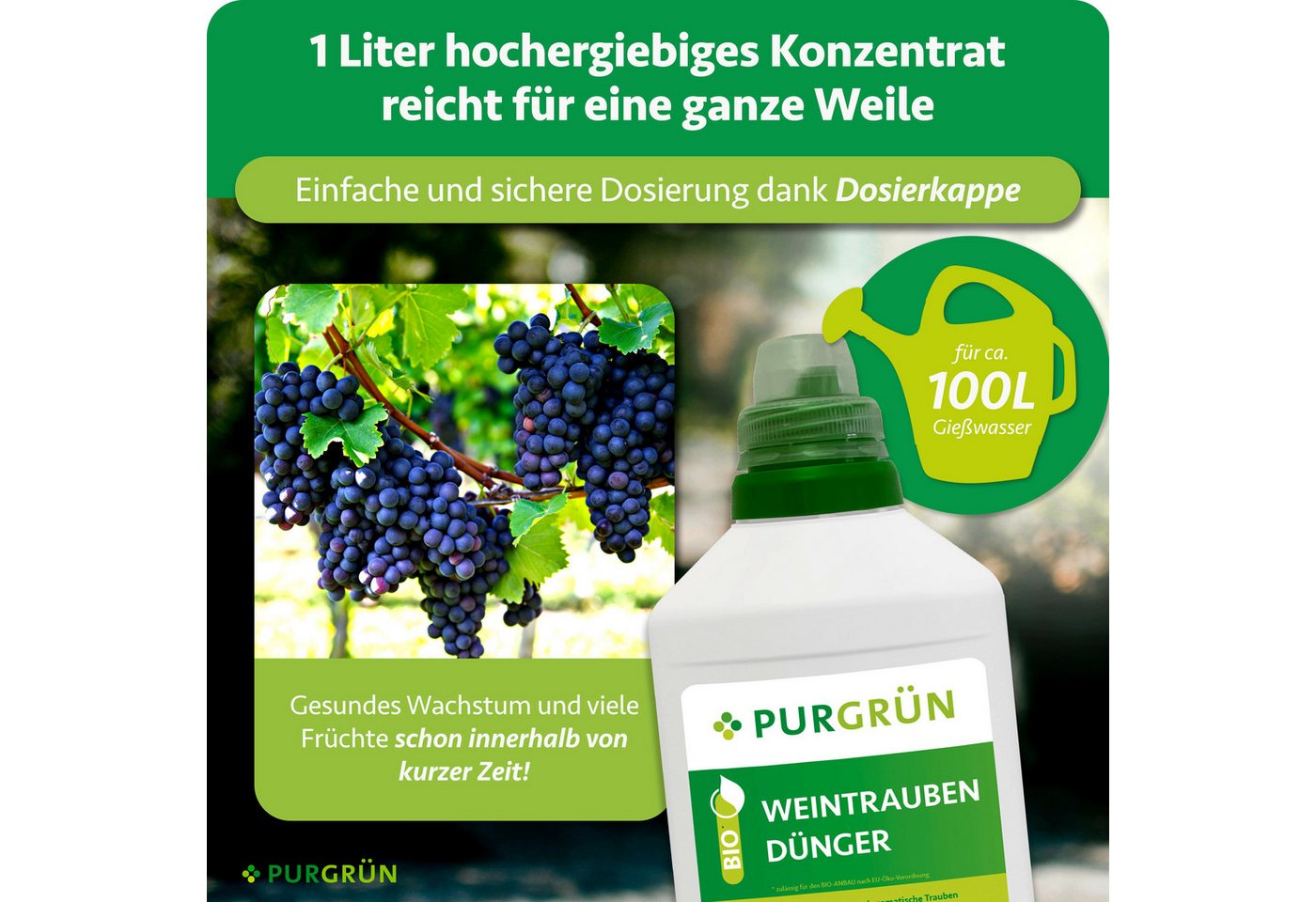 Purgrün Obstdünger Bio Weintrauben Dünger, NPK 4+1+7, Algenextrakt, 1 Liter, Flüssigdünger, 1-St., 1 Liter Bild 2