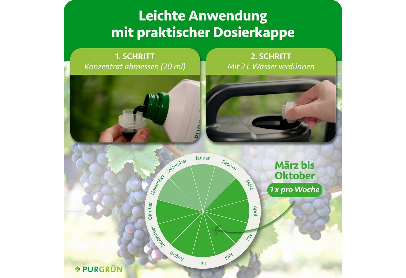 Purgrün Obstdünger Bio Weintrauben Dünger, NPK 4+1+7, Algenextrakt, 1 Liter, Flüssigdünger, 1-St., 1 Liter Bild 3
