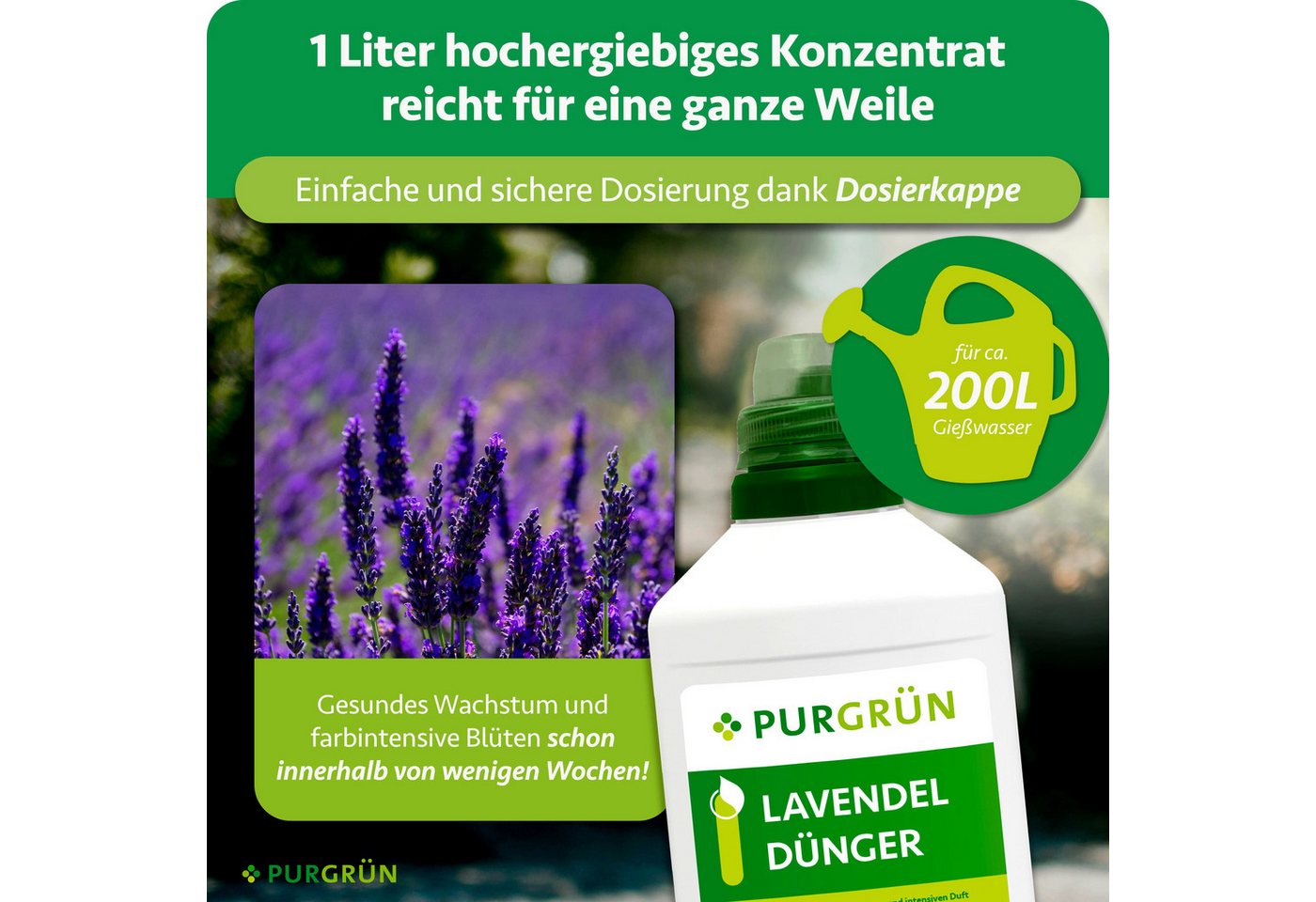 Purgrün Blumendünger Lavendel Dünger, NPK 6+6+8, Kalium, Duftförderung, 1L, Flüssigdünger, 1-St., 1 Liter