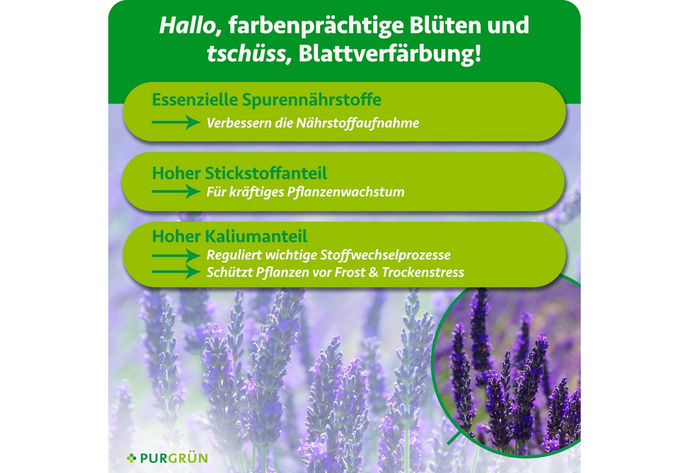 Purgrün Blumendünger Lavendel Dünger, NPK 6+6+8, Kalium, Duftförderung, 1L, Flüssigdünger, 1-St., 1 Liter Bild 3