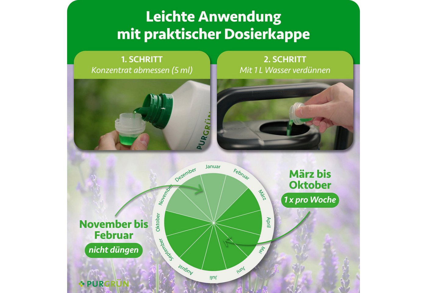 Purgrün Blumendünger Lavendel Dünger, NPK 6+6+8, Kalium, Duftförderung, 1L, Flüssigdünger, 1-St., 1 Liter Bild 4