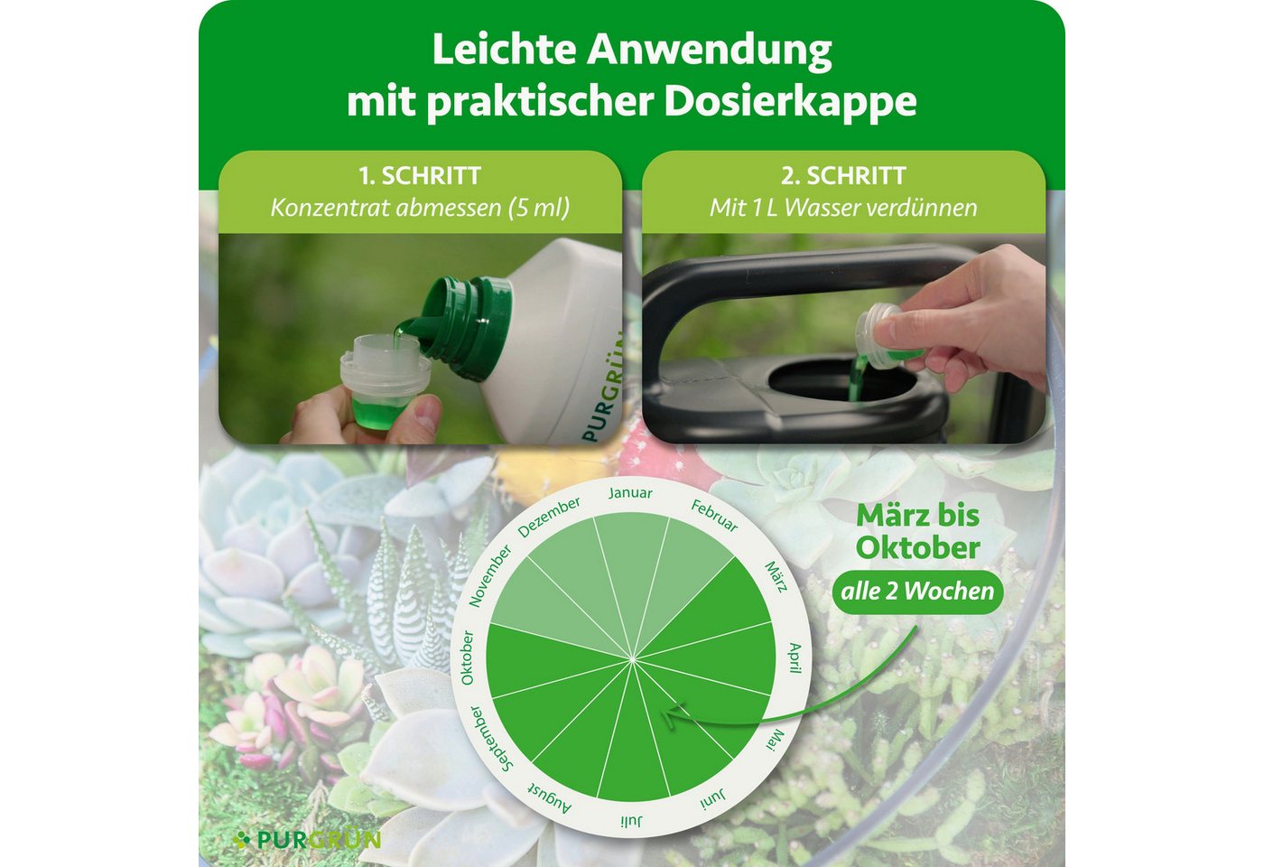 Purgrün Pflanzendünger Sukkulenten Dünger, NPK 3+5+7, reduziert Trockenstress, 1L, Flüssigdünger, 1-St., 1 Liter