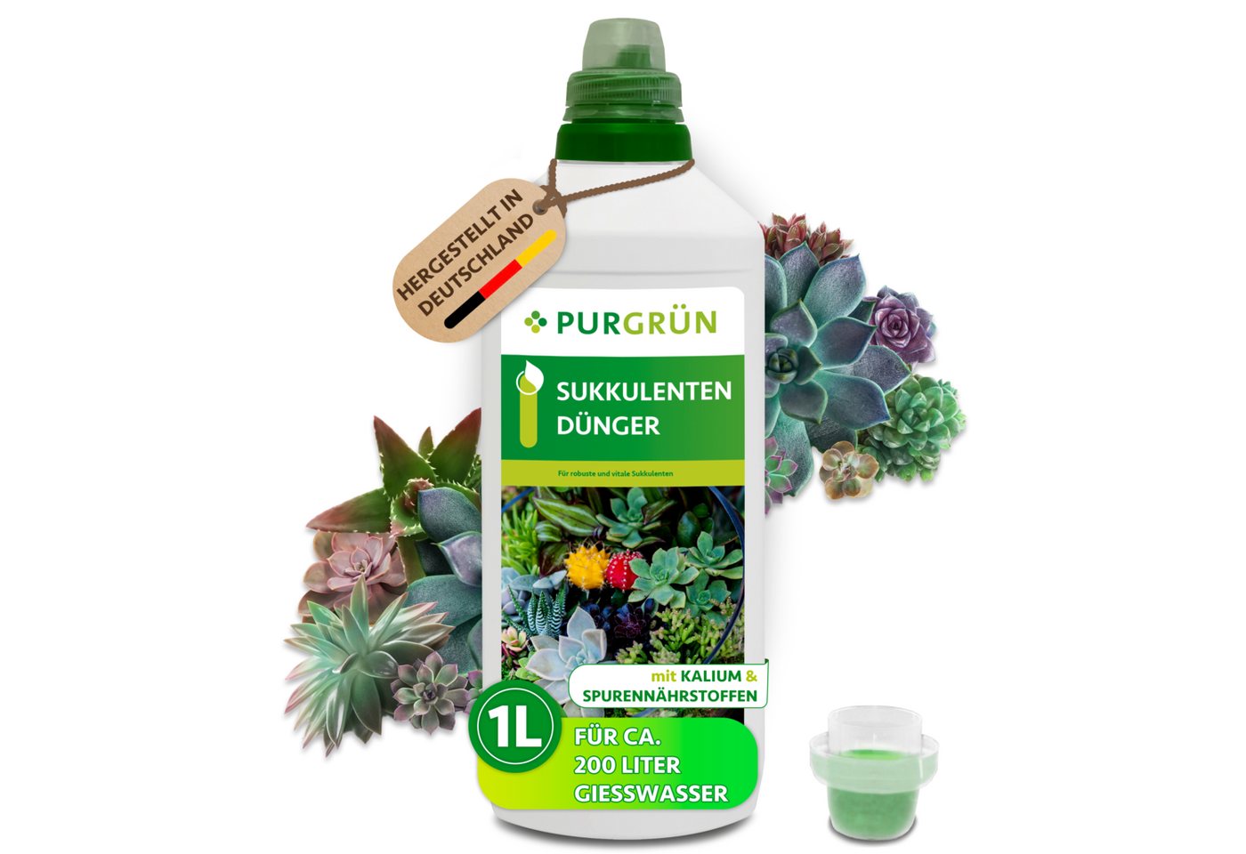 Purgrün Pflanzendünger Sukkulenten Dünger, NPK 3+5+7, reduziert Trockenstress, 1L, Flüssigdünger, 1-St., 1 Liter Bild 3