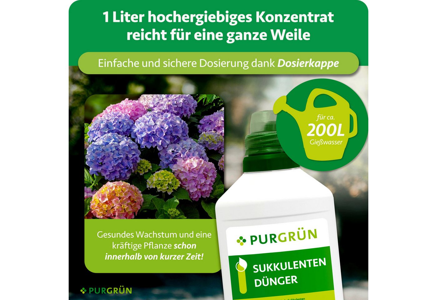 Purgrün Pflanzendünger Sukkulenten Dünger, NPK 3+5+7, reduziert Trockenstress, 1L, Flüssigdünger, 1-St., 1 Liter Bild 5