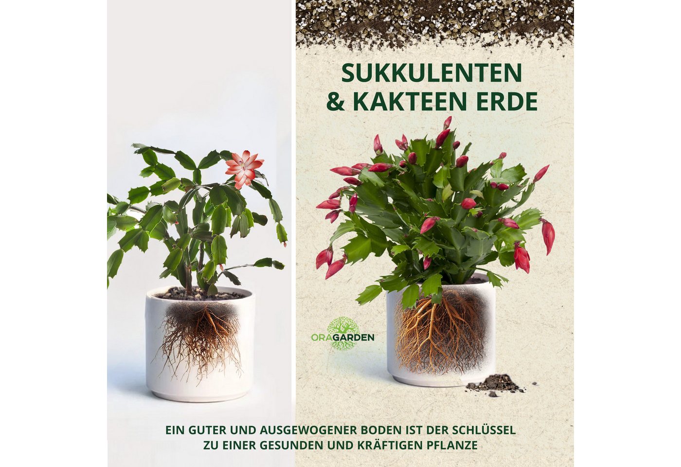 OraGarden Spezialerde Kakteen & Sukkulenten Erde, mit Wurmhumus