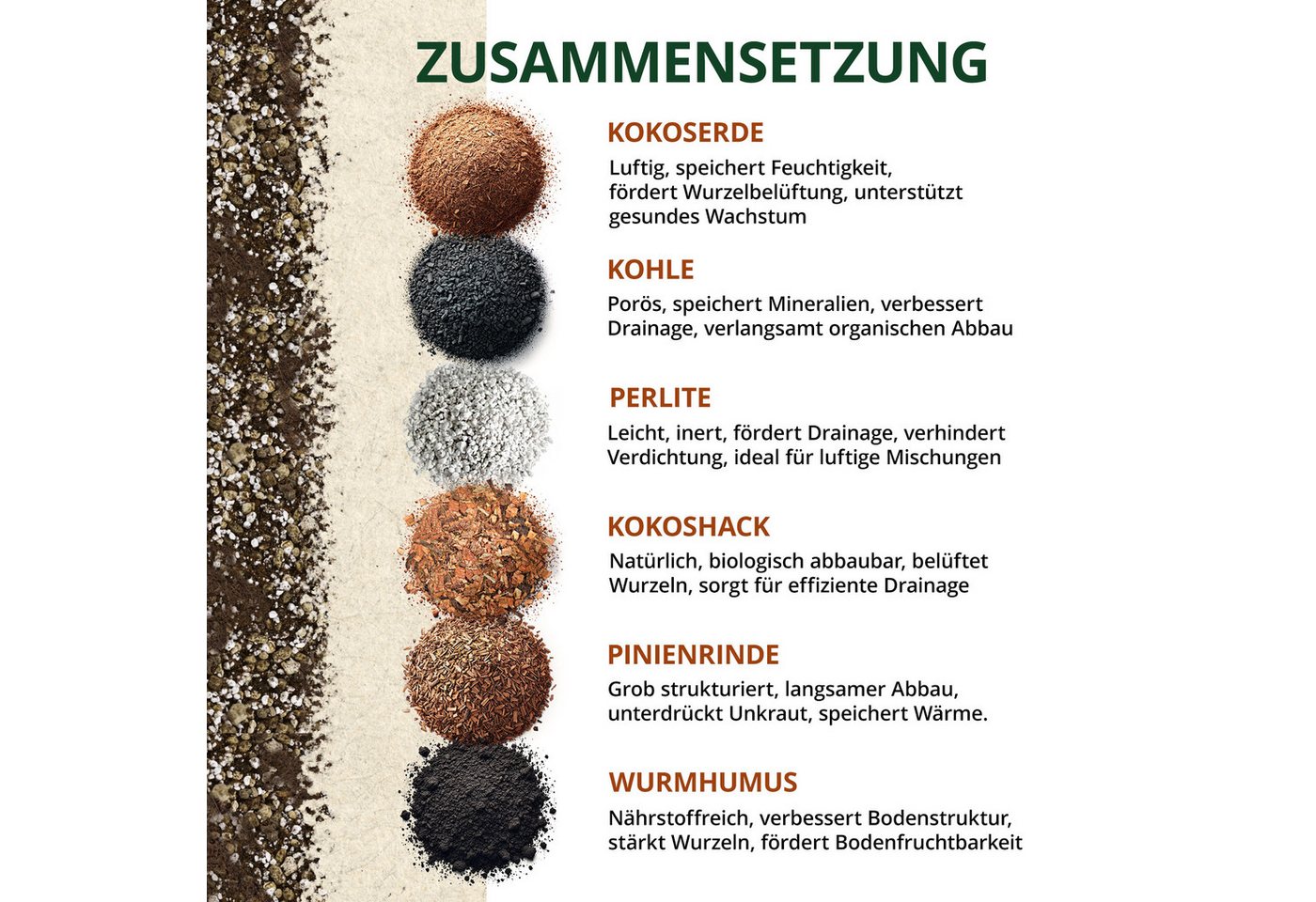 OraGarden Spezialerde Kakteen & Sukkulenten Erde, mit Wurmhumus Bild 4