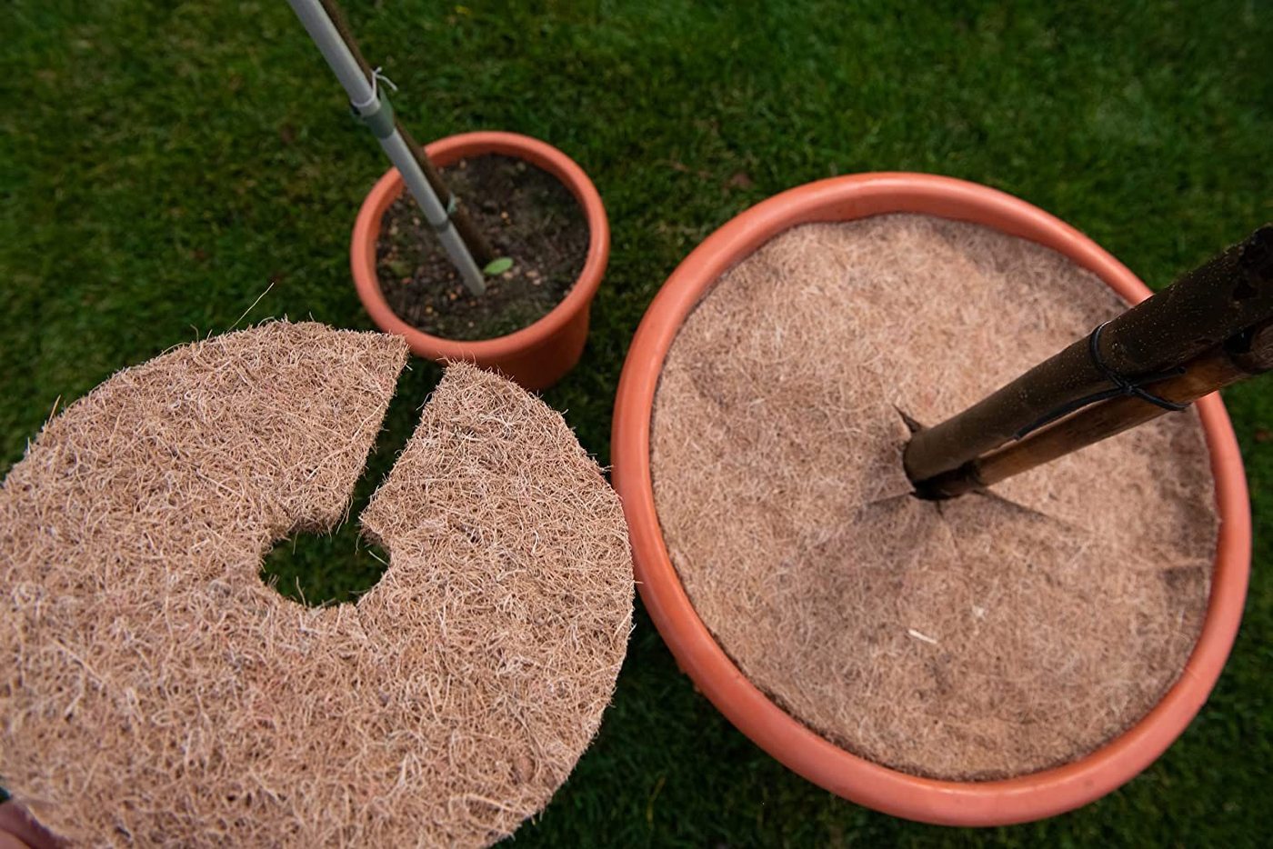 MC.Sammler Kokosscheibe Kokos-Mulchscheibe, Kälteschutz für Pflanzen, Topfpflanzen, (1-St), 25 cm Ø - 1 Stück Bild 3