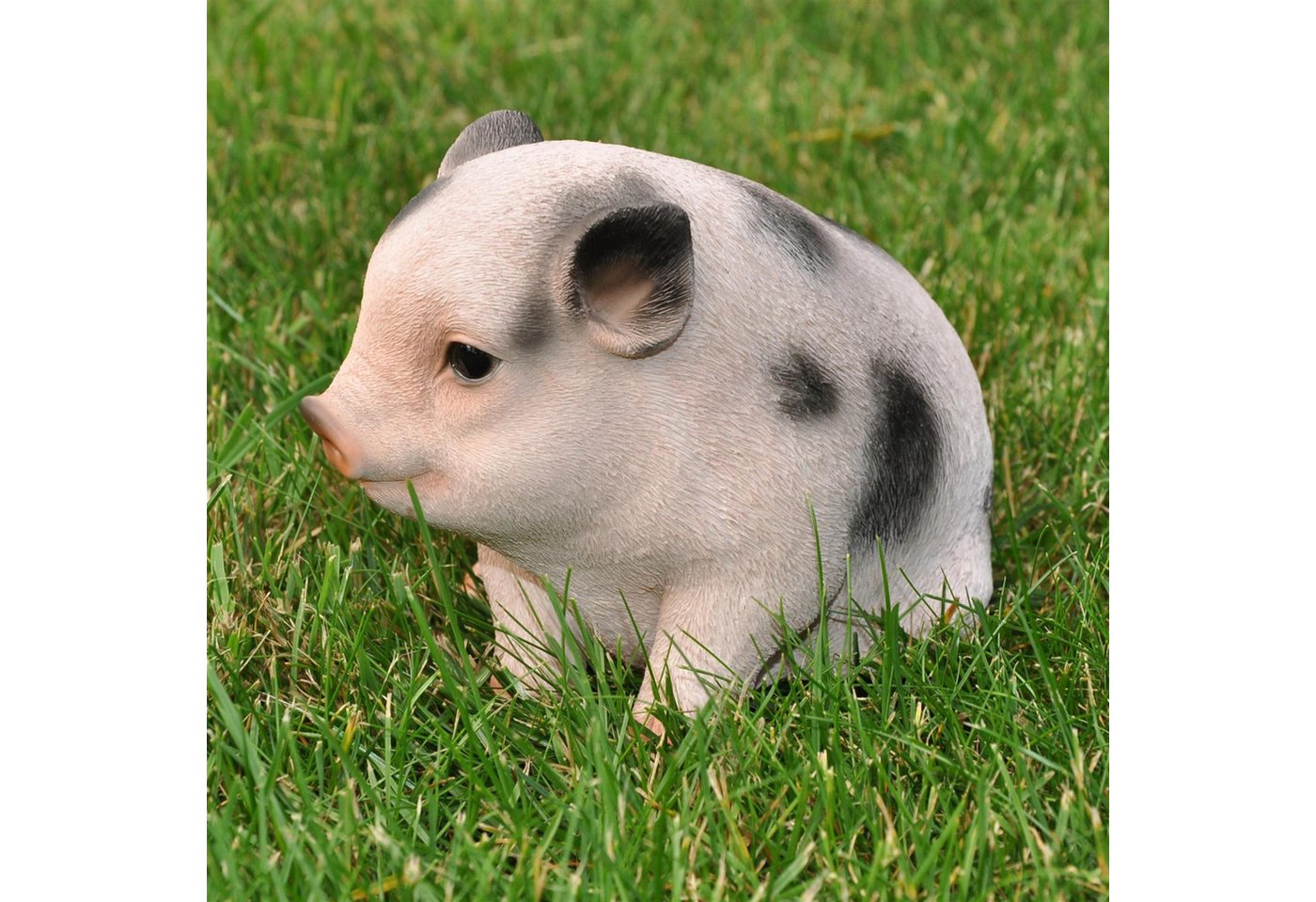dazikemo Gartenfigur Dekofigur Gartenfigur Schwein / Ferkel