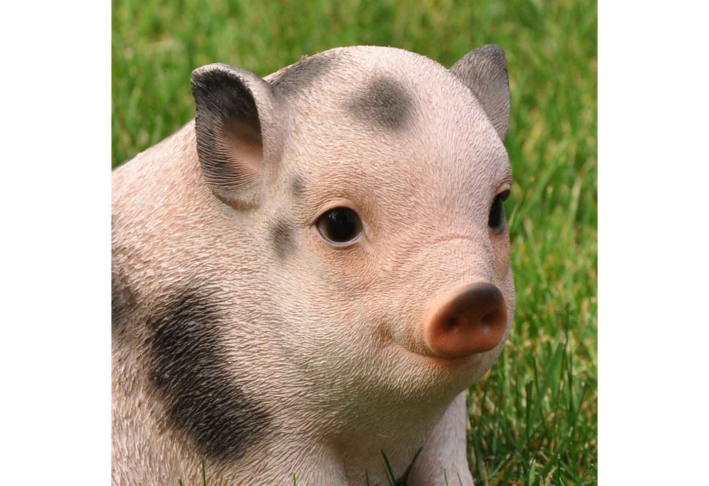 dazikemo Gartenfigur Dekofigur Gartenfigur Schwein / Ferkel Bild 2