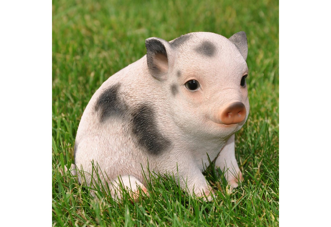 dazikemo Gartenfigur Dekofigur Gartenfigur Schwein / Ferkel Bild 3