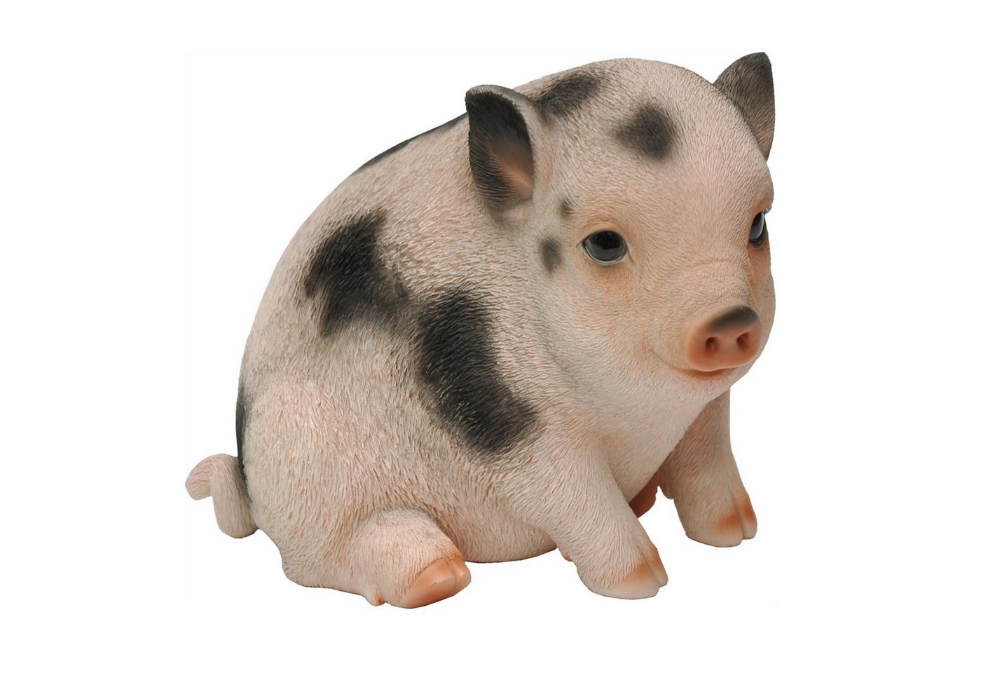 dazikemo Gartenfigur Dekofigur Gartenfigur Schwein / Ferkel Bild 4