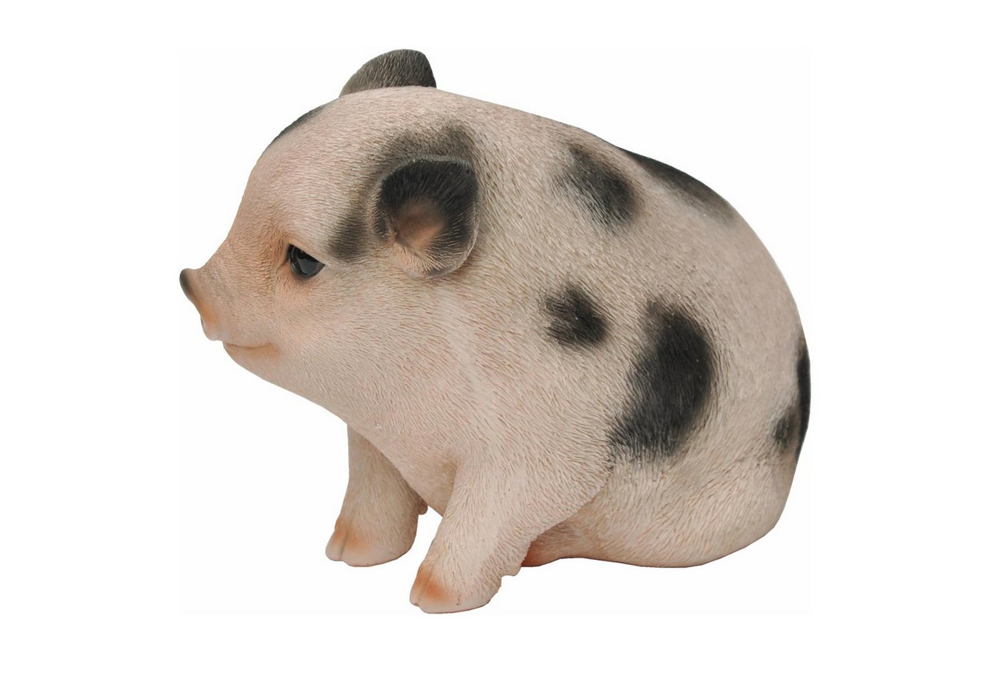 dazikemo Gartenfigur Dekofigur Gartenfigur Schwein / Ferkel Bild 5